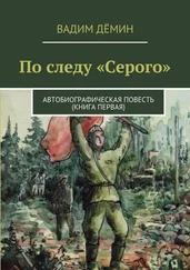 Вадим Дёмин - По следу «Серого». Автобиографическая повесть (книга первая)