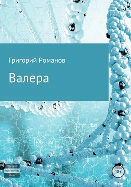 Григорий Романов Валера обложка книги