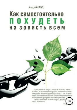 Андрей Лэд Как самостоятельно похудеть на зависть всем обложка книги