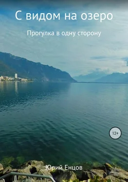 Юрий Енцов С видом на озеро обложка книги