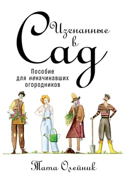 Тата Олейник Изгнанные в сад: Пособие для неначинавших огородников обложка книги