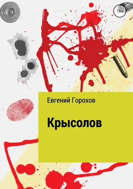 Евгений Горохов Крысолов обложка книги