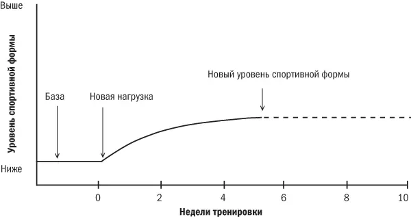 Рис 11 Рост уровня спортивной формы как ответ на новую тренировочную нагрузку - фото 1