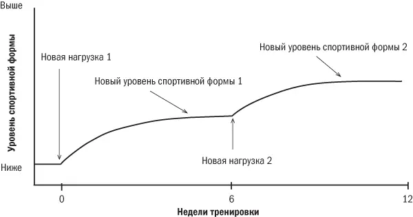 Рис 12 Улучшение уровня спортивной формы как ответ на введение дополнительной - фото 2