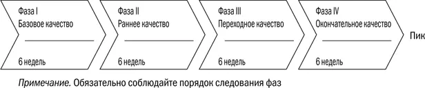 Рис 41 Шаблон для составления 24недельного тренировочного плана Впишите - фото 24