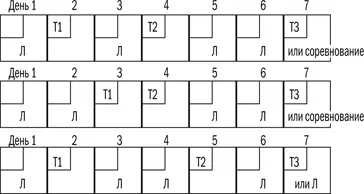 Рис 43 Три возможные недельные схемы для легких и трех типов качественных - фото 26