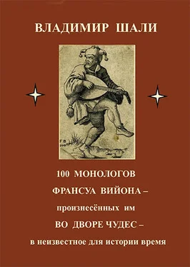 Владимир Шали 100 монологов Франсуа Вийона, произнесенных им во дворе чудес. Поэтическое представление обложка книги