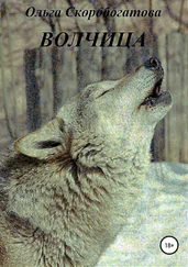 Ольга Скоробогатова - Волчица
