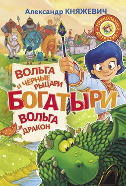 Александр Княжевич Богатыри. Вольга и чёрные рыцари. Вольга и дракон (сборник) обложка книги