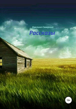 Евелина Северина Рассказы обложка книги