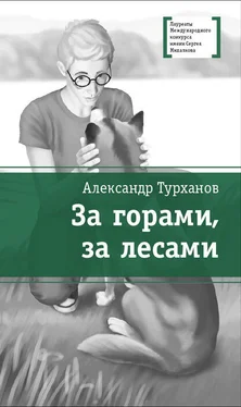 Александр Турханов За горами, за лесами обложка книги