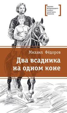 Михаил Фёдоров Два всадника на одном коне обложка книги