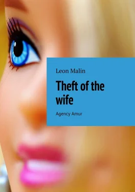 Leon Malin Theft of the wife. Agency Amur обложка книги