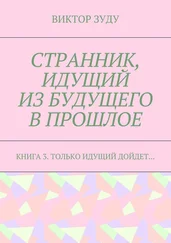 Виктор Зуду - Странник, идущий из будущего в прошлое. Книга 3. Только идущий дойдет…