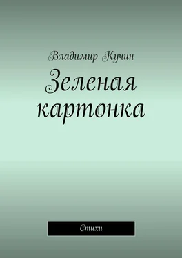 Владимир Кучин Зеленая картонка. Стихи обложка книги