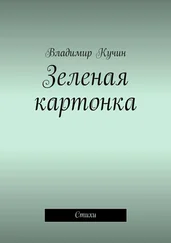 Владимир Кучин - Зеленая картонка. Стихи