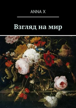 Anna X Взгляд на мир обложка книги