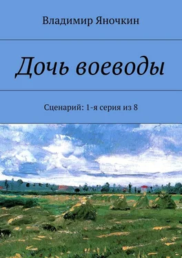 Владимир Яночкин Дочь воеводы. Сценарий: 1-я серия из 8 обложка книги