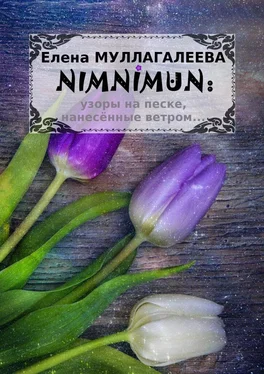 Елена Муллагалеева NIMNIMUN обложка книги