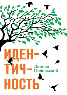 Леонид Подольский Идентичность обложка книги