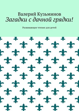 Валерий Кузьминов Загадки с дачной грядки! Развивающее чтение для детей обложка книги