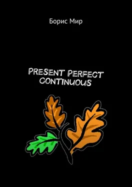 Борис Мир Present Perfect Continuous обложка книги