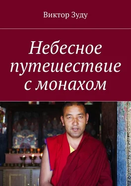 Виктор Зуду Небесное путешествие с монахом обложка книги