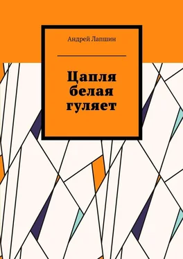 Андрей Лапшин Цапля белая гуляет обложка книги