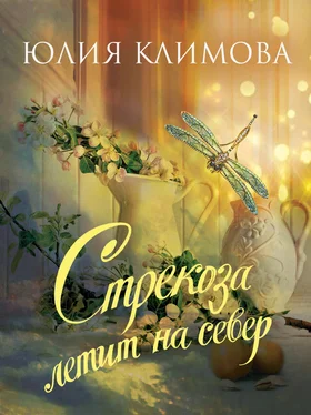 Юлия Климова Стрекоза летит на север обложка книги