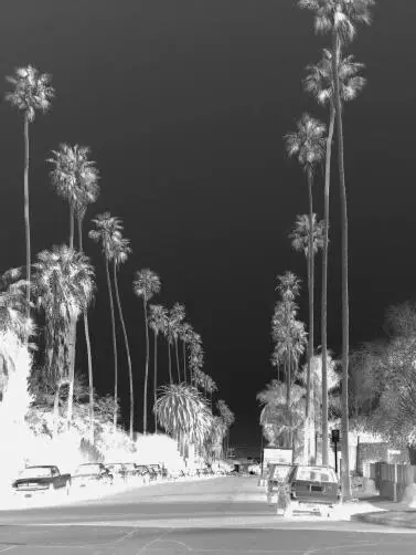 Minima Moralia is not a portrait of LA but the city and its culture are - фото 5