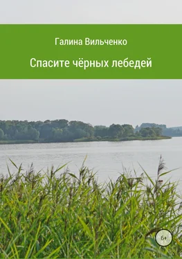 Галина Вильченко Спасите чёрных лебедей обложка книги