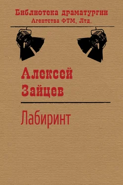 Алексей Зайцев Лабиринт обложка книги