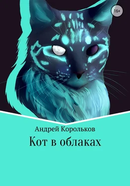 Андрей Корольков Кот в облаках обложка книги