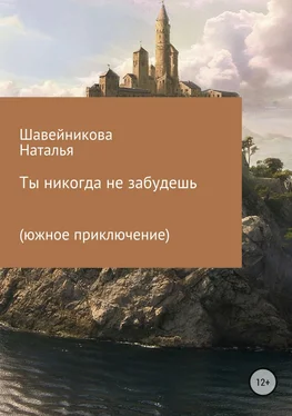 Наталья Шавейникова Ты никогда не забудешь обложка книги