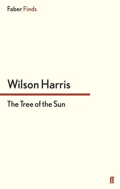 Wilson Harris The Tree of the Sun обложка книги