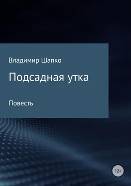 Владимир Шапко Подсадная утка обложка книги