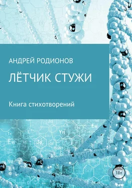 Андрей Родионов Лётчик стужи обложка книги