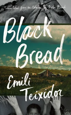 Emili Teixidor Black Bread обложка книги