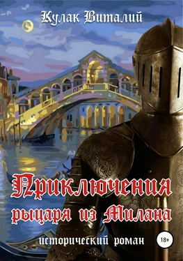 Виталий Кулак Приключения рыцаря из Милана обложка книги