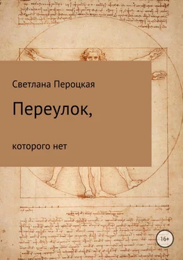 Светлана Пероцкая Переулок, которого нет обложка книги