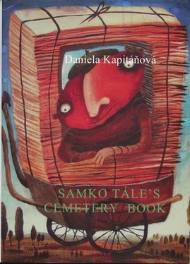 Daniela Kapitánová Samko Tále's Cemetery Book обложка книги