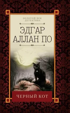 Эдгар По Черный кот (сборник) обложка книги