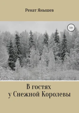 Ренат Янышев В гостях у Снежной Королевы обложка книги