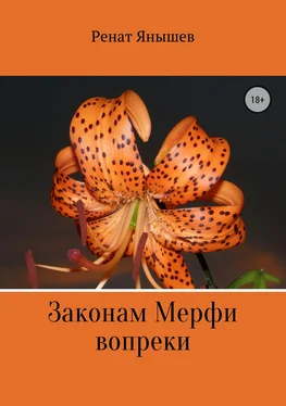 Ренат Янышев Законам Мерфи вопреки обложка книги