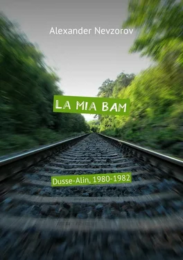 Alexander Nevzorov La mia BAM. Dusse-Alin, 1980-1982 обложка книги