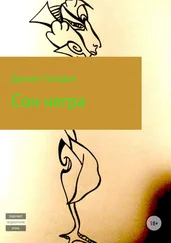Даниил Гольдин - Сон негра