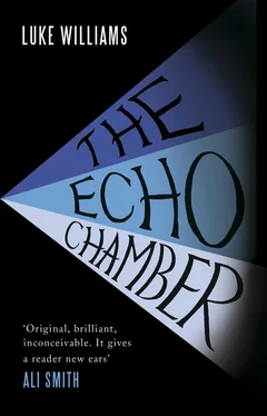 Luke Williams The Echo Chamber обложка книги