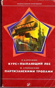 П. Курочкин Курс — пылающий лес. Партизанскими тропами обложка книги