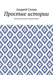 Андрей Семке - Простые истории. Короткие рассказы. Продолжение