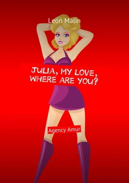 Leon Malin Julia, my love, where are you? Agency Amur обложка книги